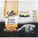 Krmivo pre mačky Sheba Fresh & Fine Drůbeží výběr ve šťávě 15 x 50 g