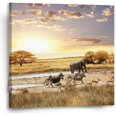 Sablio Obraz Safari - 50x50 cm
