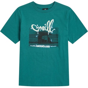 O'Neill Детска тениска O'Neill Kid's Slub Graphic T-Shirt - Botanical Heat - размер 140 (EU) (704-6071-0113)