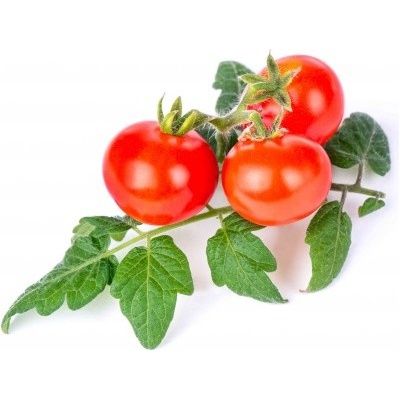 Veritable Вложка за семена Lingot мини зеленчуци чери домат (VLIN-L5-Tom016)