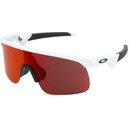 Oakley Resistor
