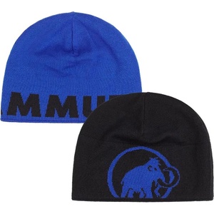 Mammut Шапка MAMMUT Logo Beanie eiger blue/black