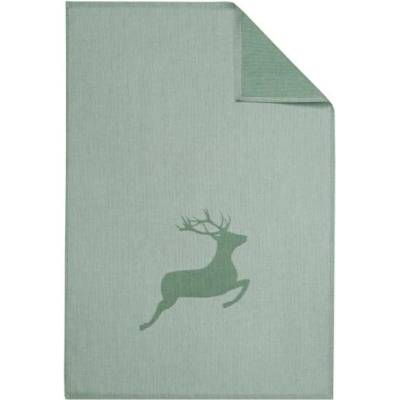 Framsohn HIRSCH 007 50 × 75 cm zelená