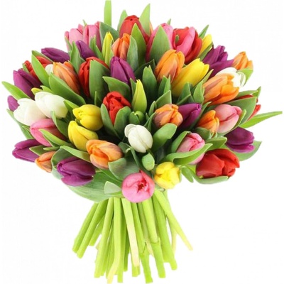 Barevné tulipány 30 Ks