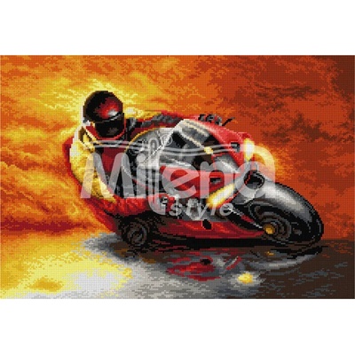 Milena Style Моторист - гоблен със схема конци dmc 1: 4