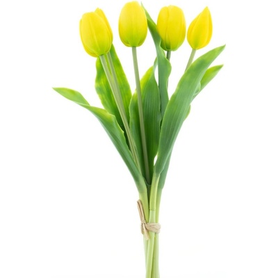 Tulipán Sally (5x) zlutý V36 cm