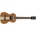 APC TS Tenor Simples APC