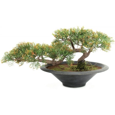 Umělý bonsai Cedr v květináči, 40cm