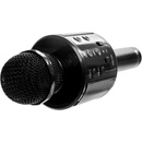 Atomia karaoke BT WS 858 black čierna