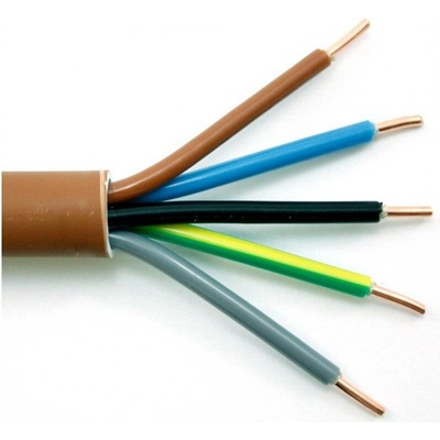 Prakab 1-CXKH-V-J 5 x 10 mm² FE180/P60-R 1m