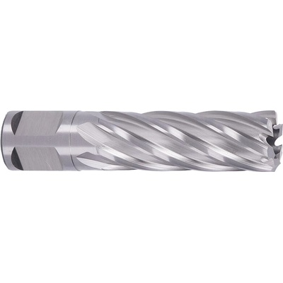 ABSE N-HS-W19-0190050