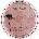 Catrice Highlighter More Than Glow Хайлайтер 5, 9gr