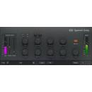 Initial Audio Initial Audio Dynamic Delay