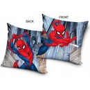 Carbotex SPIDERMAN 40 x 40 cm