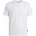 Iceberg Logo White