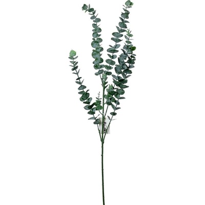 KONÁR EUCALYPTUS ZELENÝ 86CM