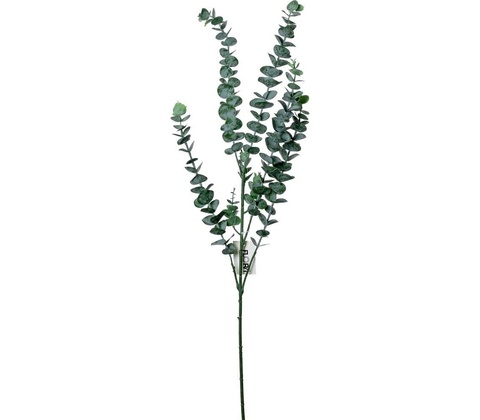 KONÁR EUCALYPTUS ZELENÝ 86CM