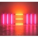 MCCARTNEY PAUL: NEW CD