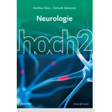 Neurologie hoch2