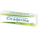 Boiron Cicaderma mast 30 g