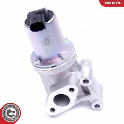 AGR - Ventil ESEN SKV 14SKV211