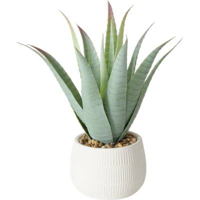 Boltze Home Umělá rostlina aloe v květináči MONDRAGO, 29 cm, světle zelená zelená