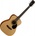 Cort AF510