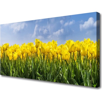 Obraz Canvas Tulipány kvety rastlina 100x50 cm
