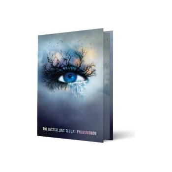 Image 1 of SHATTER ME