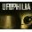 Ufophilia