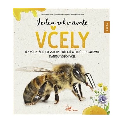 Jeden rok v životě včely