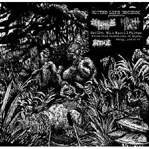 Cryptic Brood & Night Hag - Swollen With Rancid Phlegm (Limited Edition) (LP) (0080774882064)