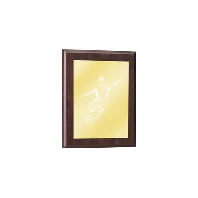 Poháry Bauer Plaketa PLP0001