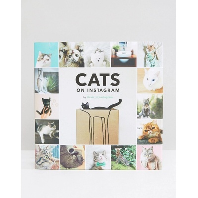 Cats on Instagram - @cats_of_instagram