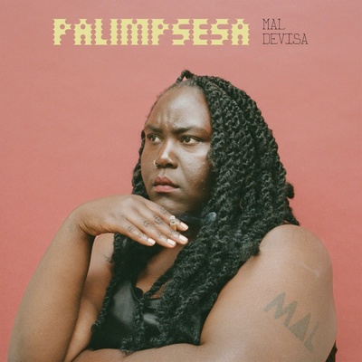 Mal Devisa - Mal Devisa - Palimpsesa (22 ) LP