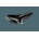 Brooks B17 černé