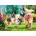 Trefl - Puzzle Premium Plus Tea Time: Here Comes Trouble! - 1 000 piese