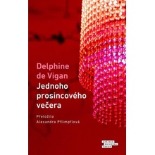 Jednoho prosincového večera - Delphine de Vigan