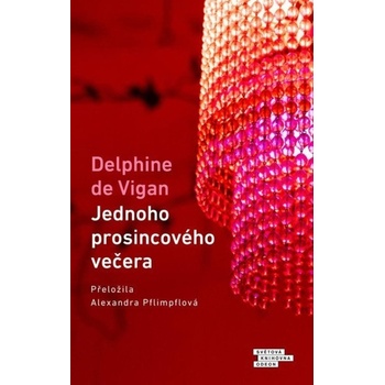 Jednoho prosincového večera - Delphine de Vigan