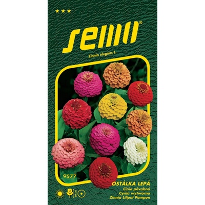 Semo Ostálka lepá - Double liliput (pomponkovitá) 0,7 g