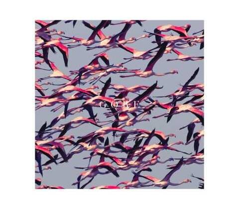 DEFTONES: GORE LP