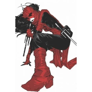 Daredevil: Woman Without Fear | Zdarsky, Chip, Nocenti, Anne (ISBN: 9781302934934)