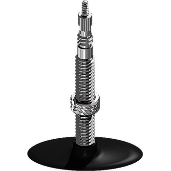 Schwalbe GV