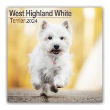 West Highland Teriér 2024