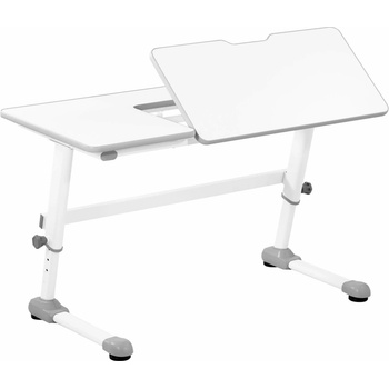 Fromm & Starck Výškově nastavitelný stůl – 120 x 66 cm – 0–50° naklápěcí – výška: 600–760 mm EX10260366
