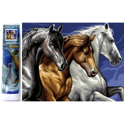 Norimpex Divoké trio 30 × 40 cm 1006784