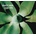 DEPECHE MODE: EXCITER CD