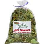 ALEGIA Листа от ягоди 90г
