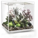 Biorb Cube MCR akvarijní set bílý 30 l