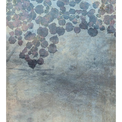 DIMEX MS-3-0367 vliesová fototapeta rozměry 225 x 250 cm